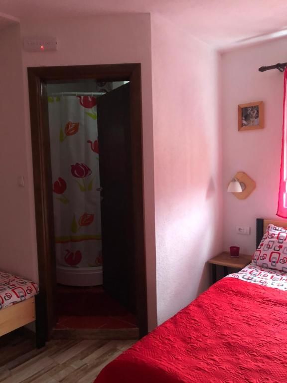 Апартаменты Apartments Shine Колашин-57